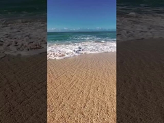 สนามเด็กเล่น สนามเกม ดีทีวีไฟฟ้า สกูเตอร์ถัง ETV รถหิมะ ATV